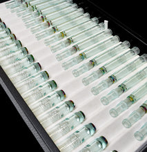 Load image into Gallery viewer, Model 45 Cor pens by Franklin-Christoph: clear glass-like fountain pens with colored bands in a foam-lined black case.