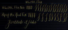 Load image into Gallery viewer, Gold #6 Nib Unit by Franklin-Christoph: calligraphy on black paper with loops, grids, and “Piper the Red Fox” phrases.